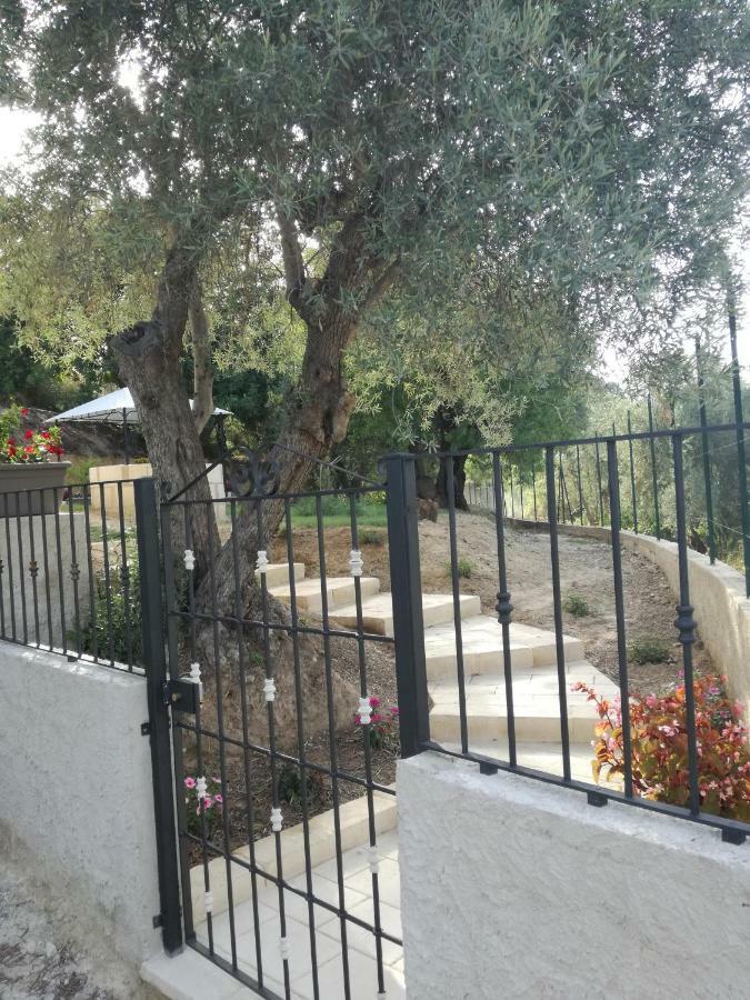 Terra Barocca